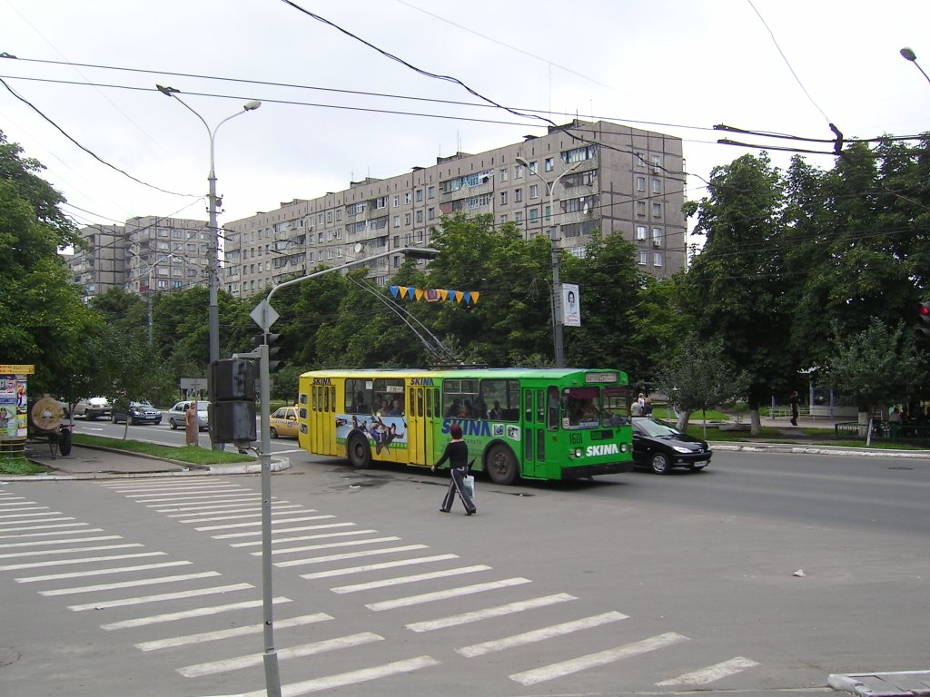 Проспект Ленина 87а