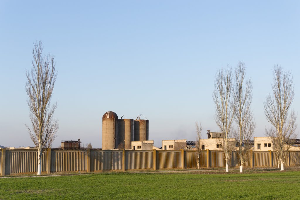 Landscape of abandoned Building