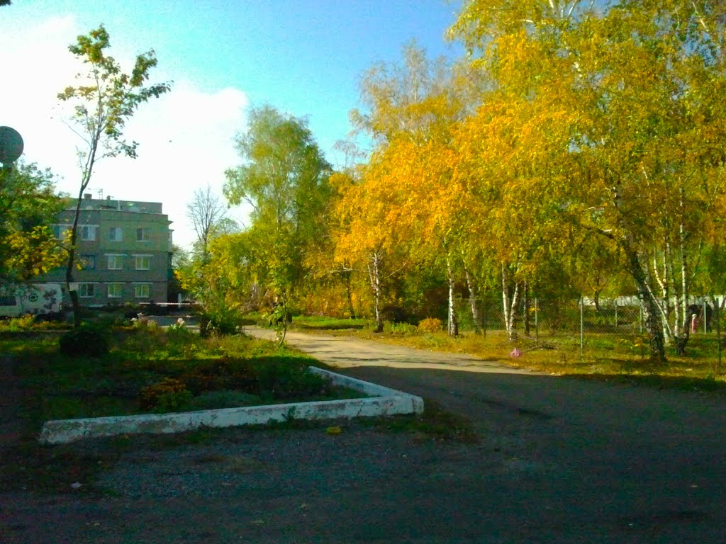 г.Марьинка , ул.Заводская  20.10.2012г.