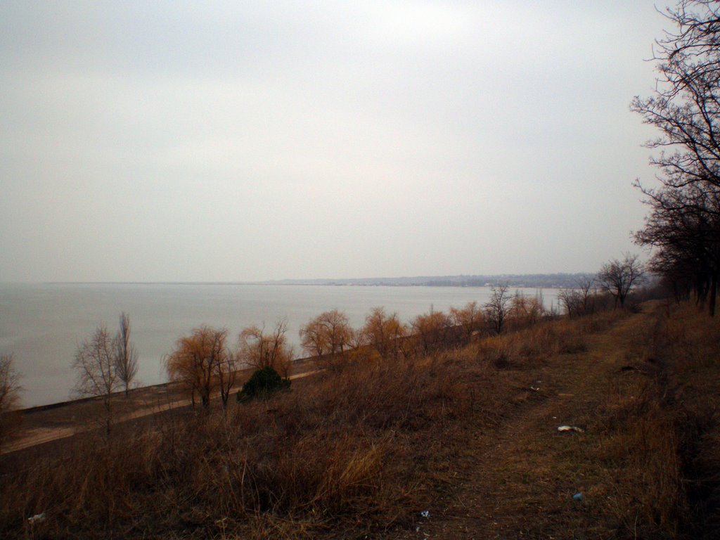 Спуск на городской пляж