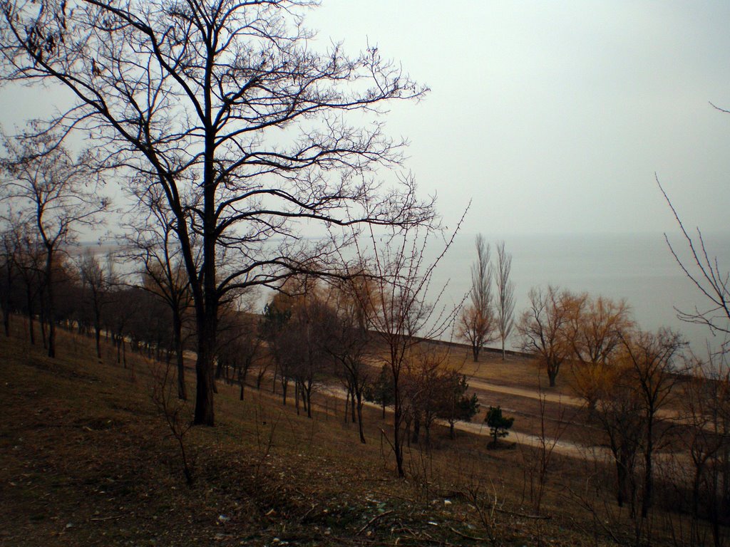 Спуск на городской пляж