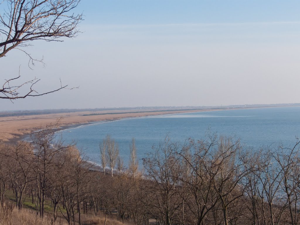 Береговая линия