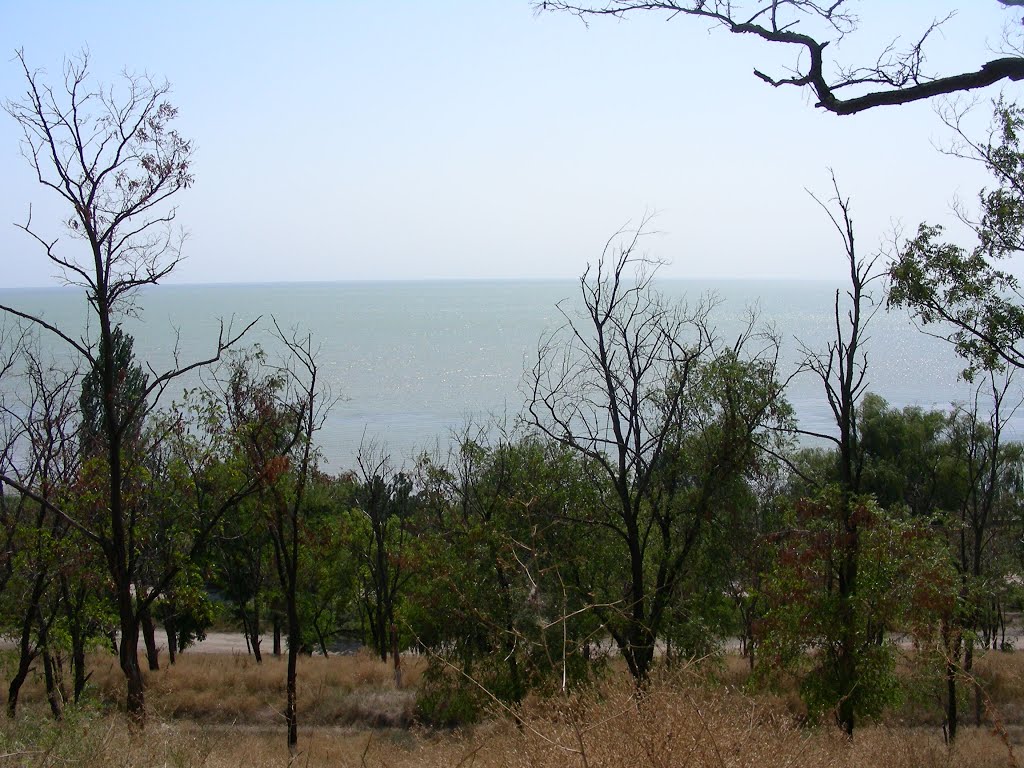 вид на море из парка
