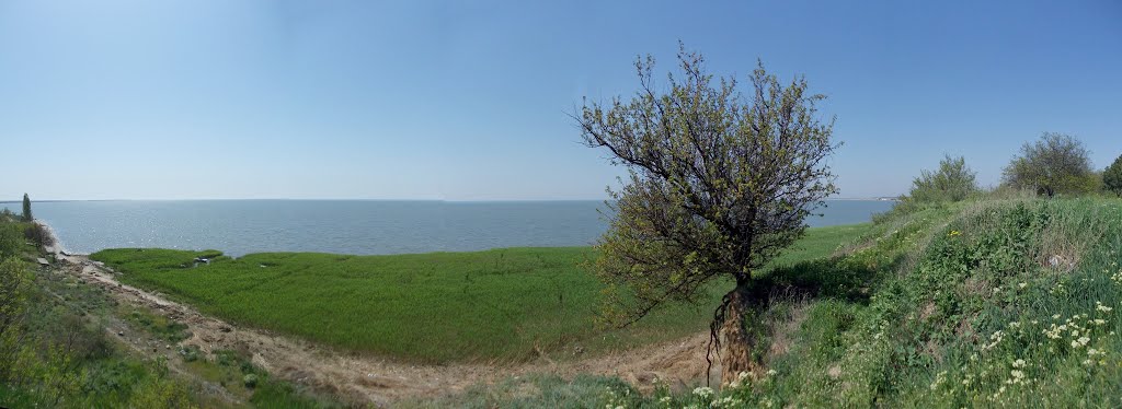 Bluff seaside