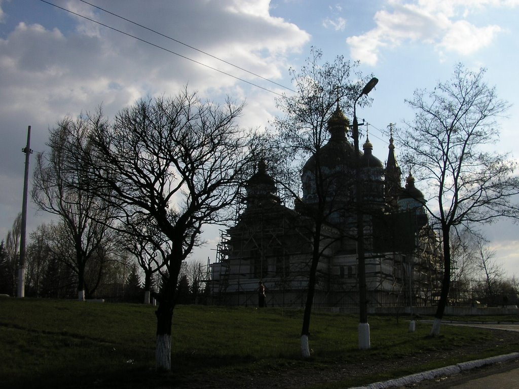 Церковь Рождества Пресвятой Богородицы в с Новоэкономическое