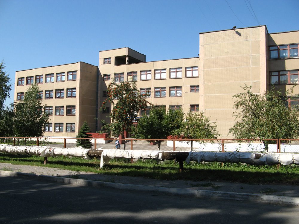 School №6