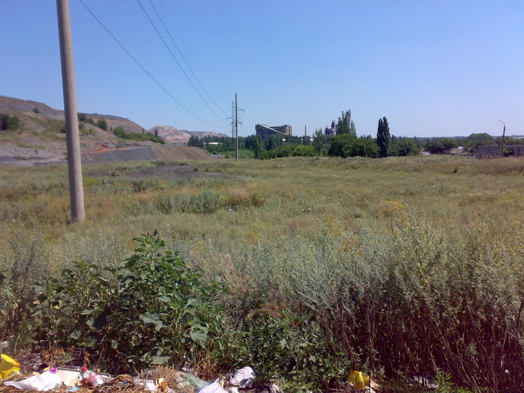 Поле
