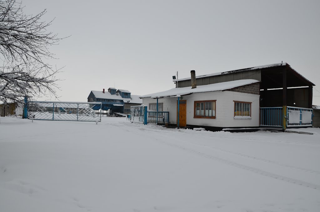 Весовая