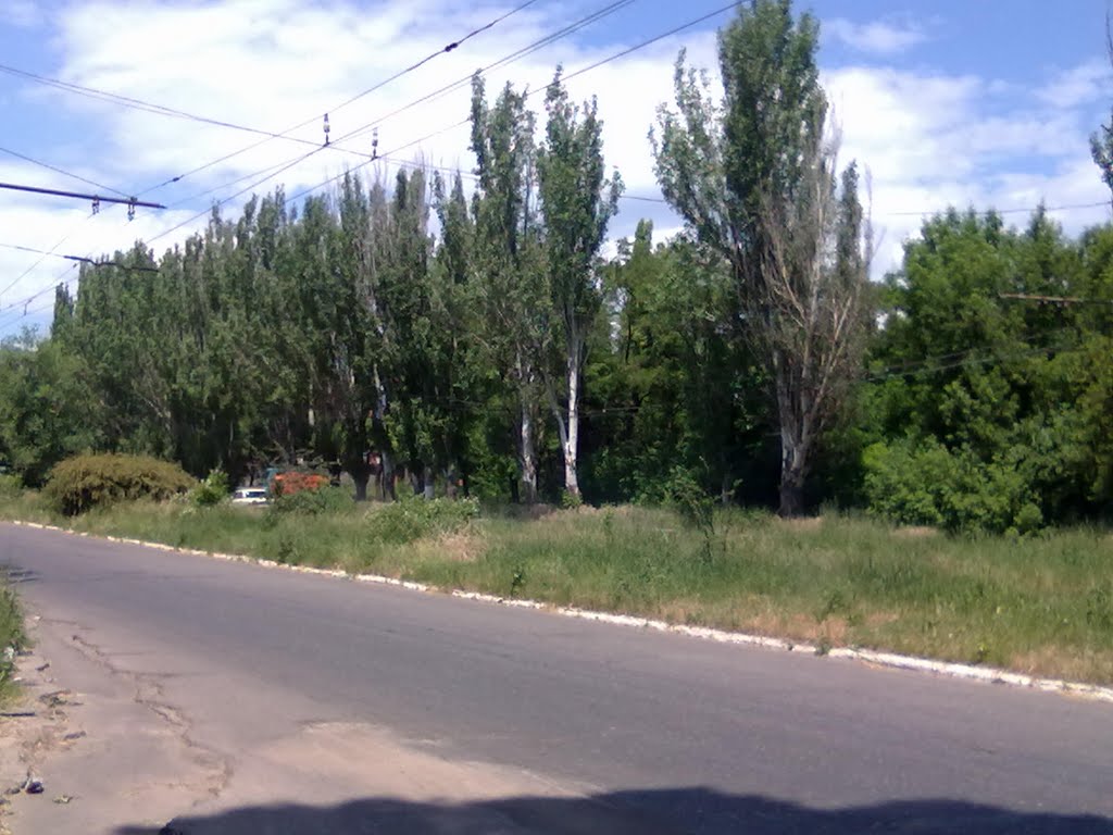 Бульвар Пасова