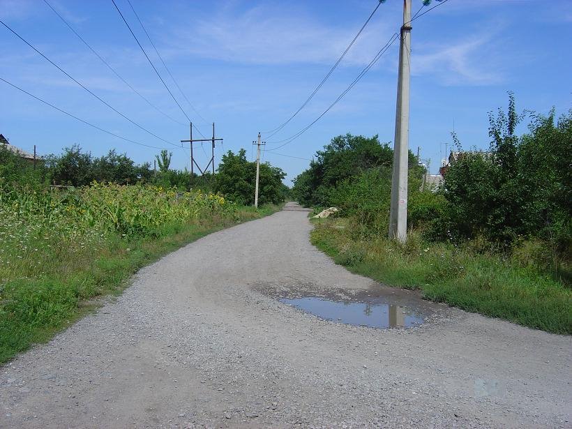 wiljamsa street