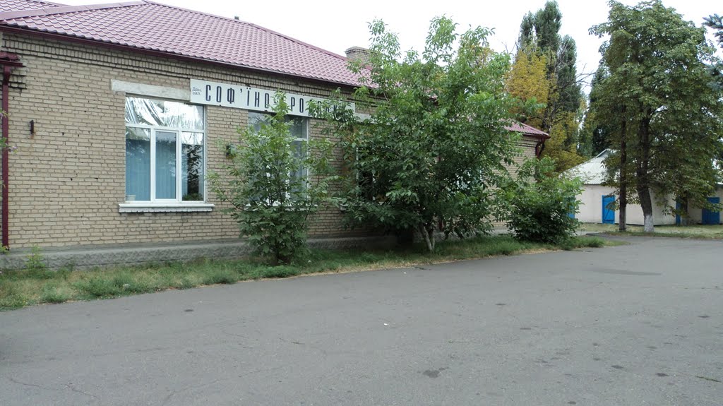 Станция Софьино-Бродская