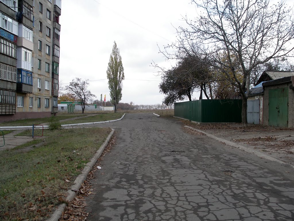 Снежное