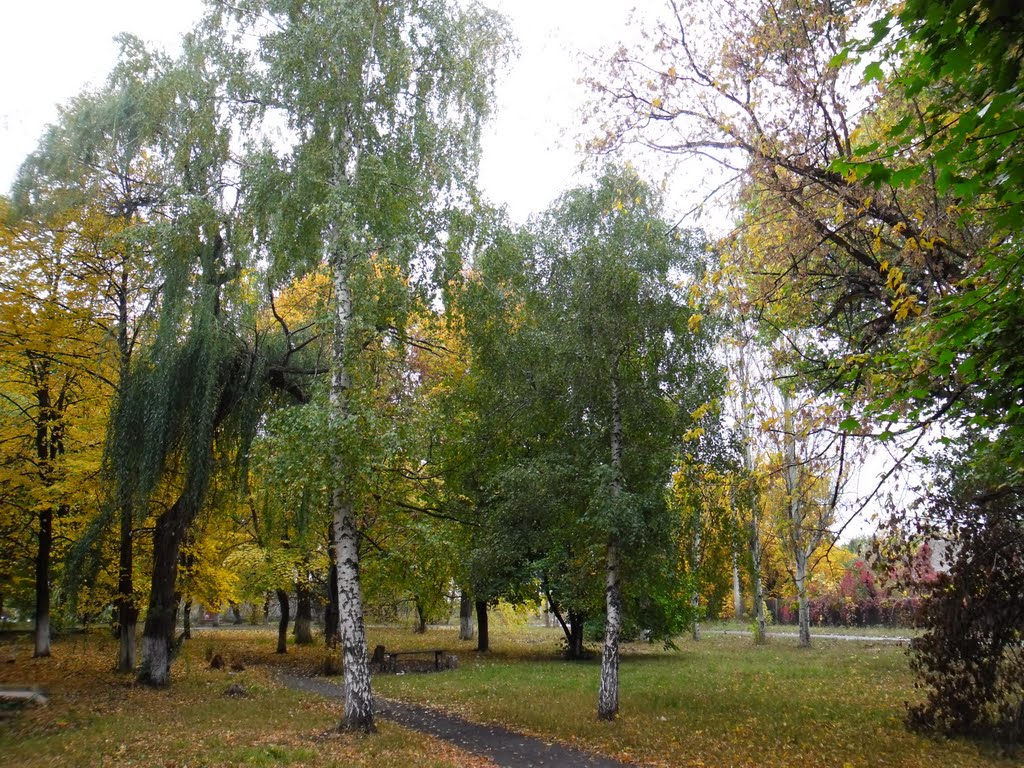 Снежное ЦГБ