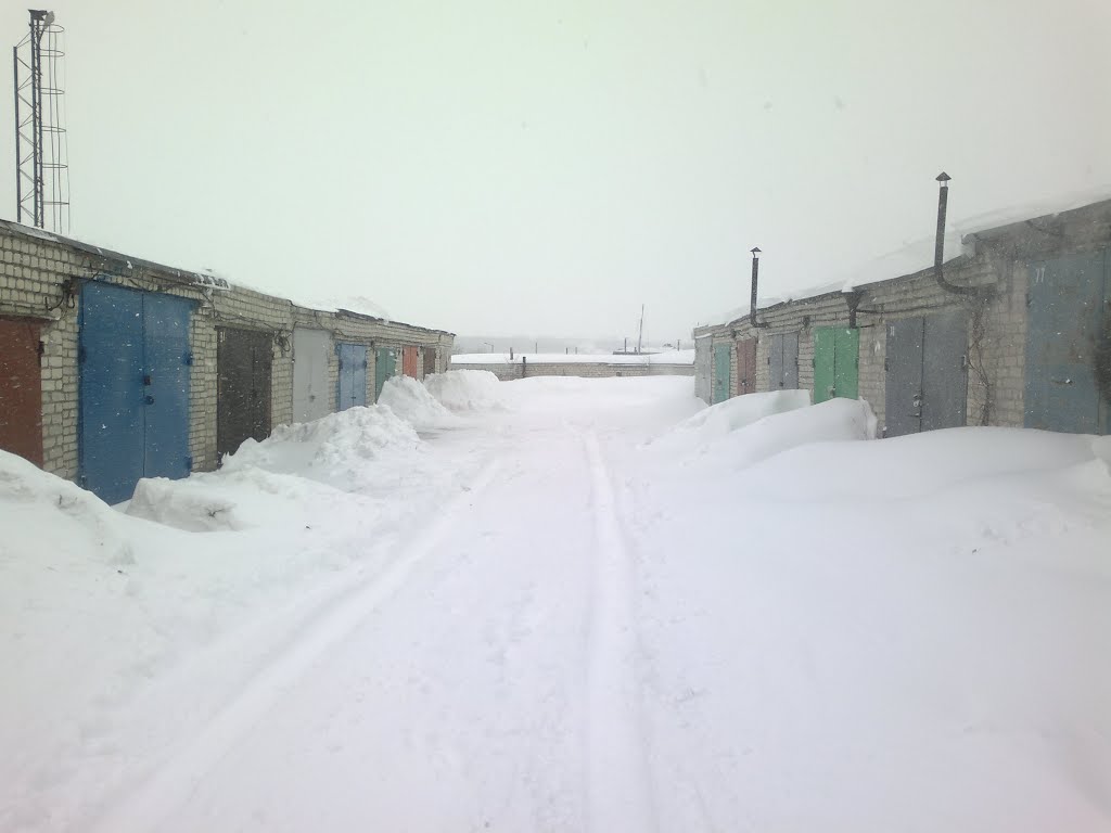 Гаражи 19.02.2012