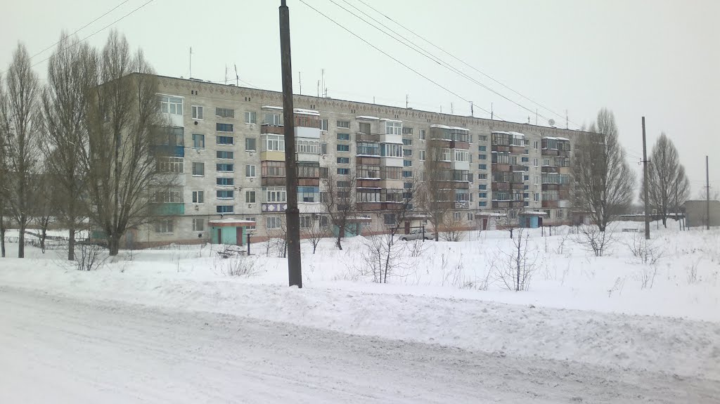 ул. 250 лет Донбасса, д.15 19.02.2012