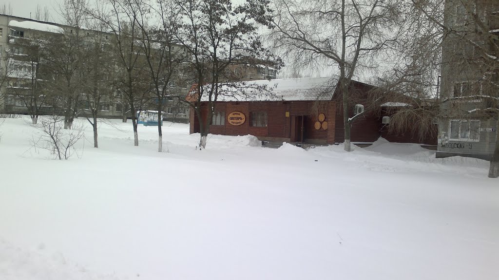 ул. Заводская, "Янтарь" 20.02.2012