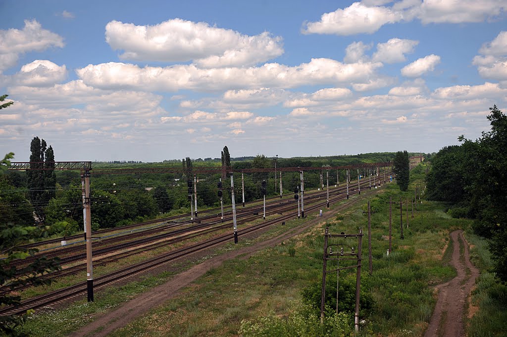 С моста на жд путь