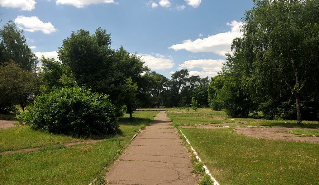 лето 2010