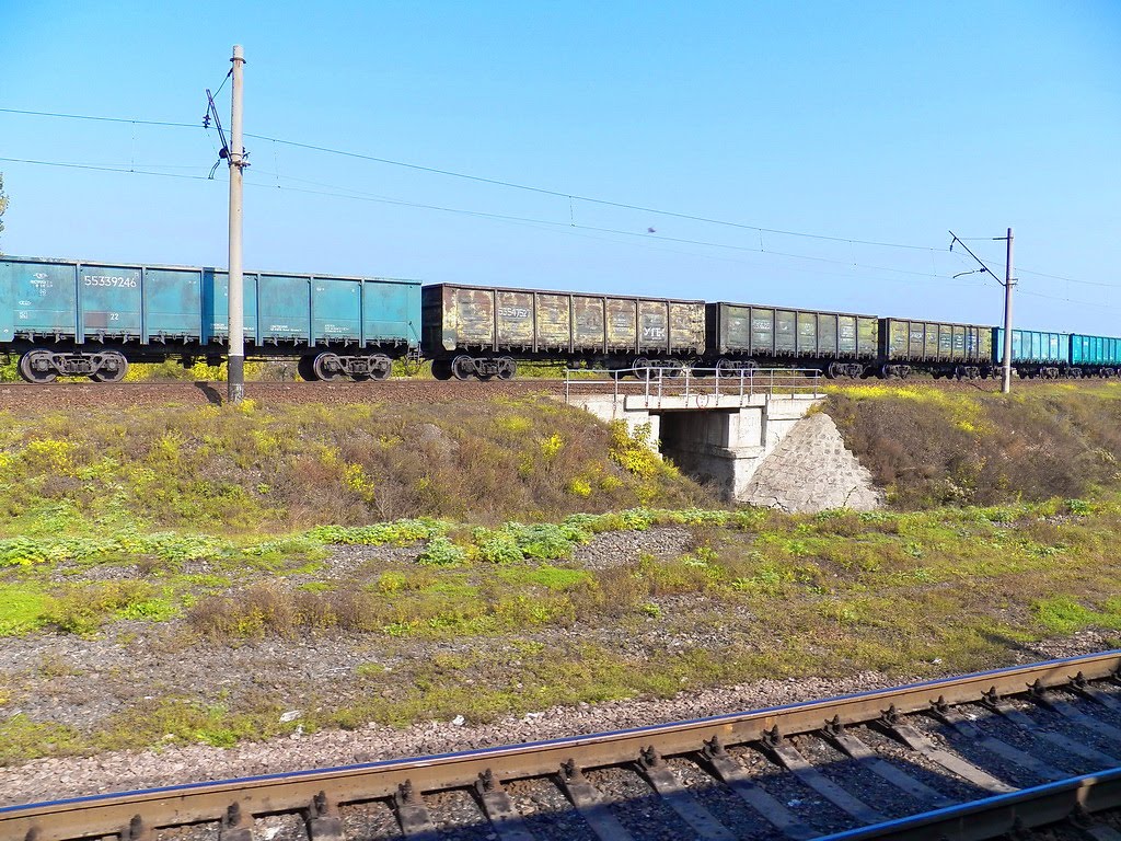 Ветка с Горловки