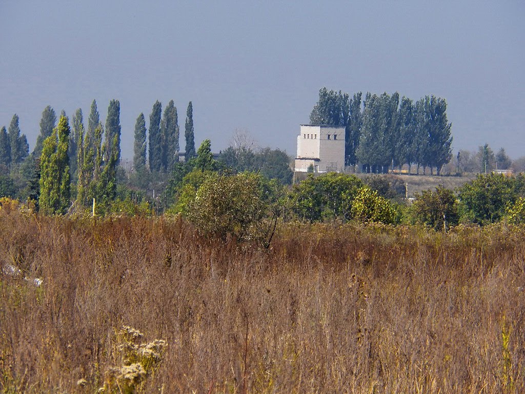 На окраине Криничной