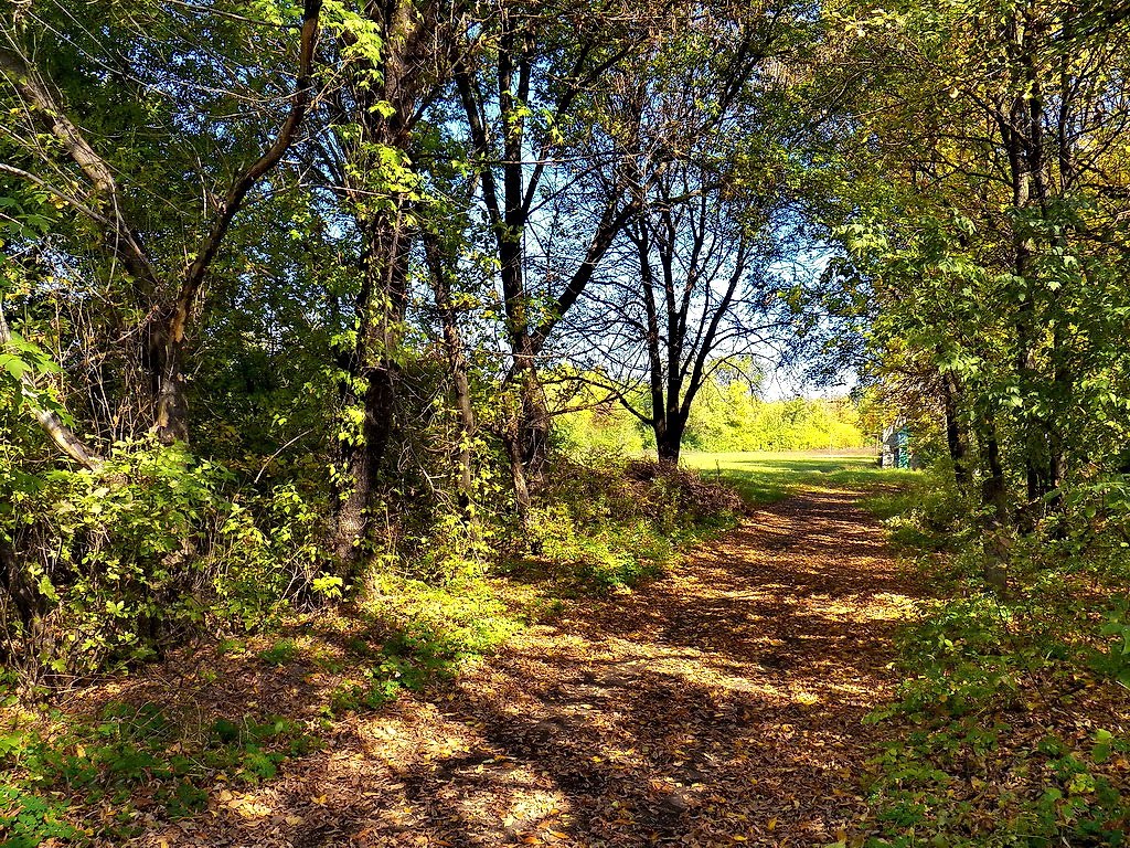 По аллее в 35-ю школу