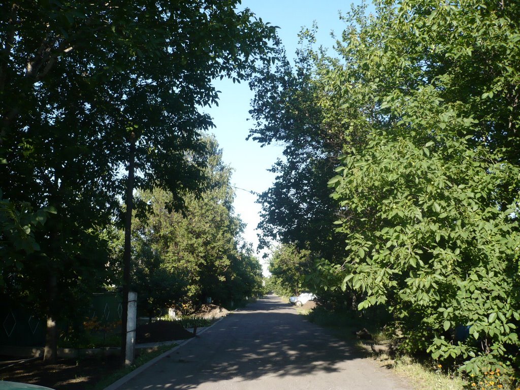 ул.Донецкая
