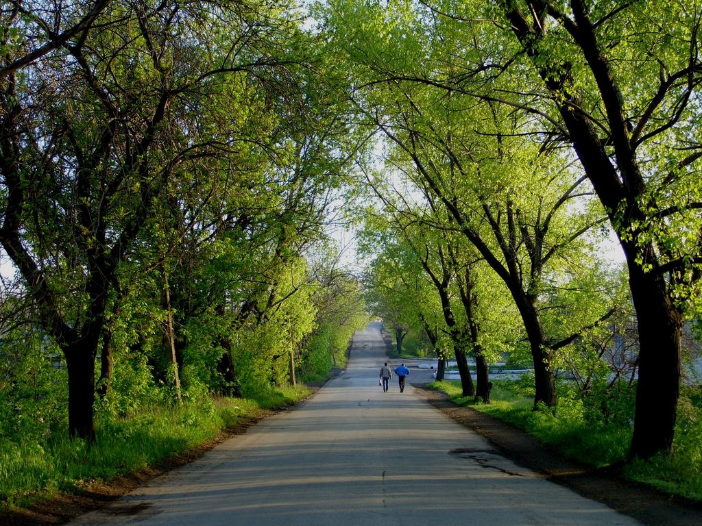 Арка