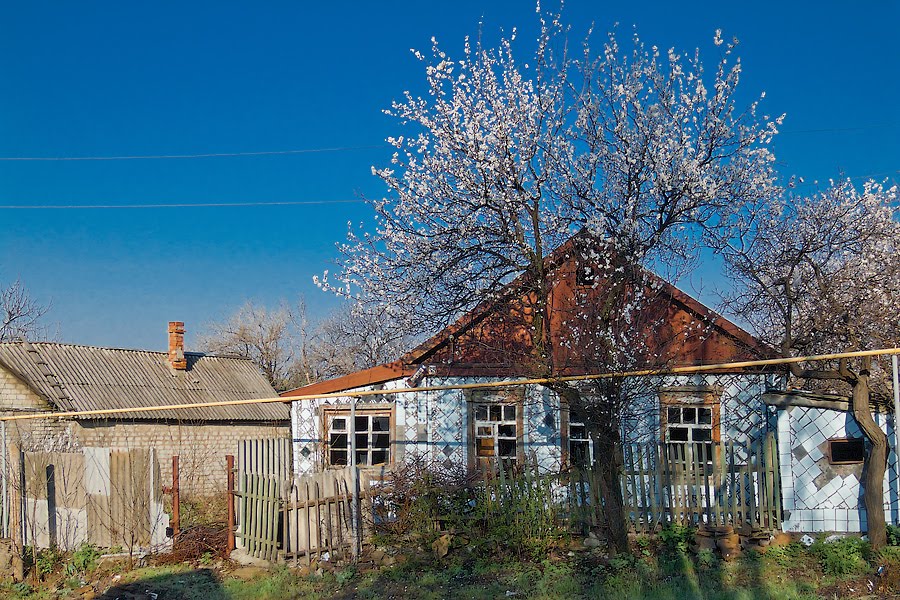 Улица Советская, город Торез