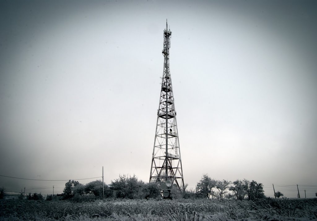 РТС 2012