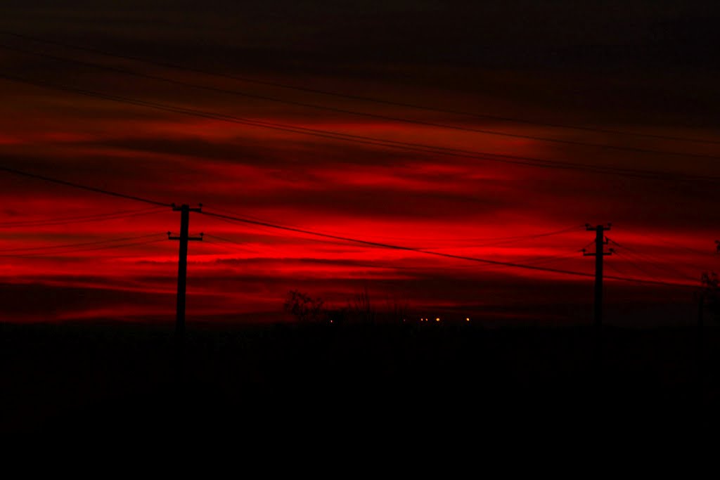 bloody sunset