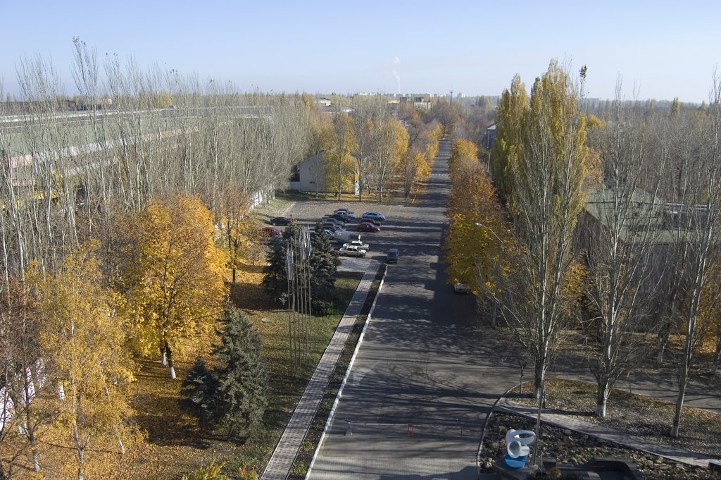 Улица Патона