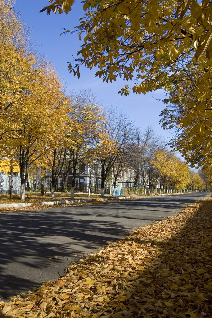 Улица Патона