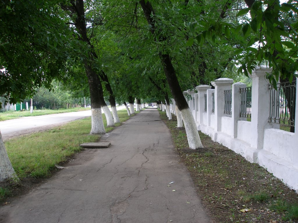 Трубная сторона