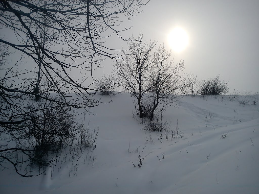 г.Харцызск,  Ландшафтный парк ,,Зуевский,,