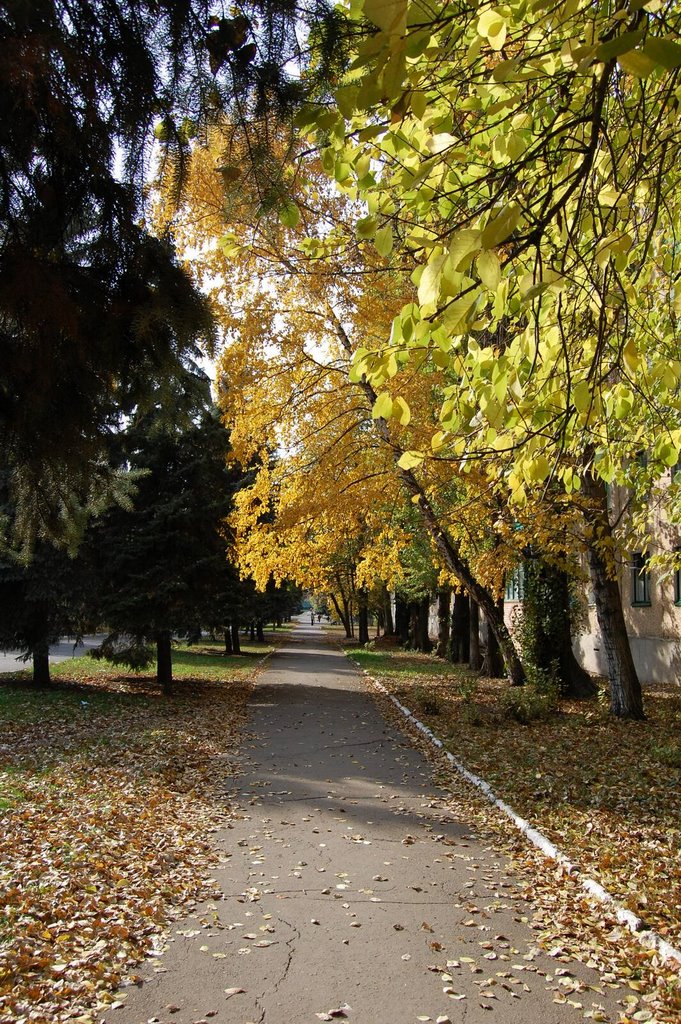 Переулок Николенко