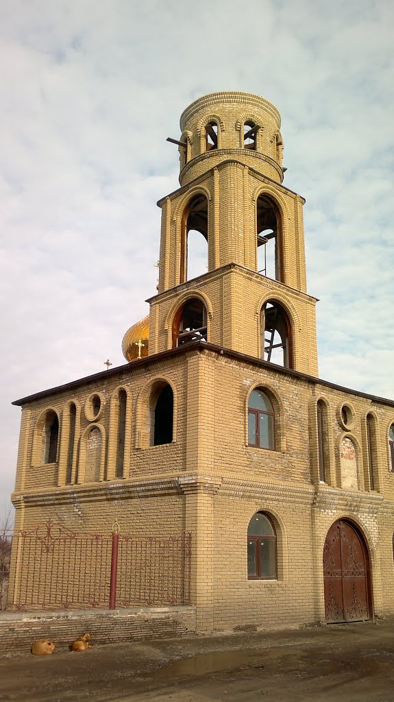 Источник 19.03.2013
