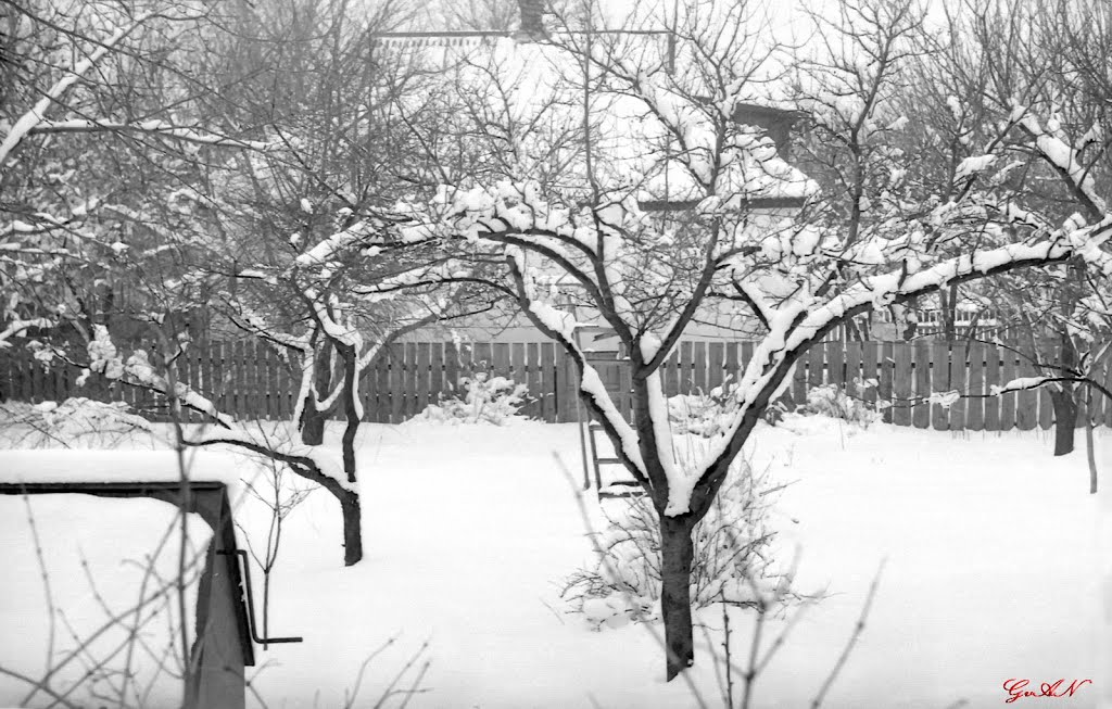 г. Шахтёрск, ул. Свободы, д.8