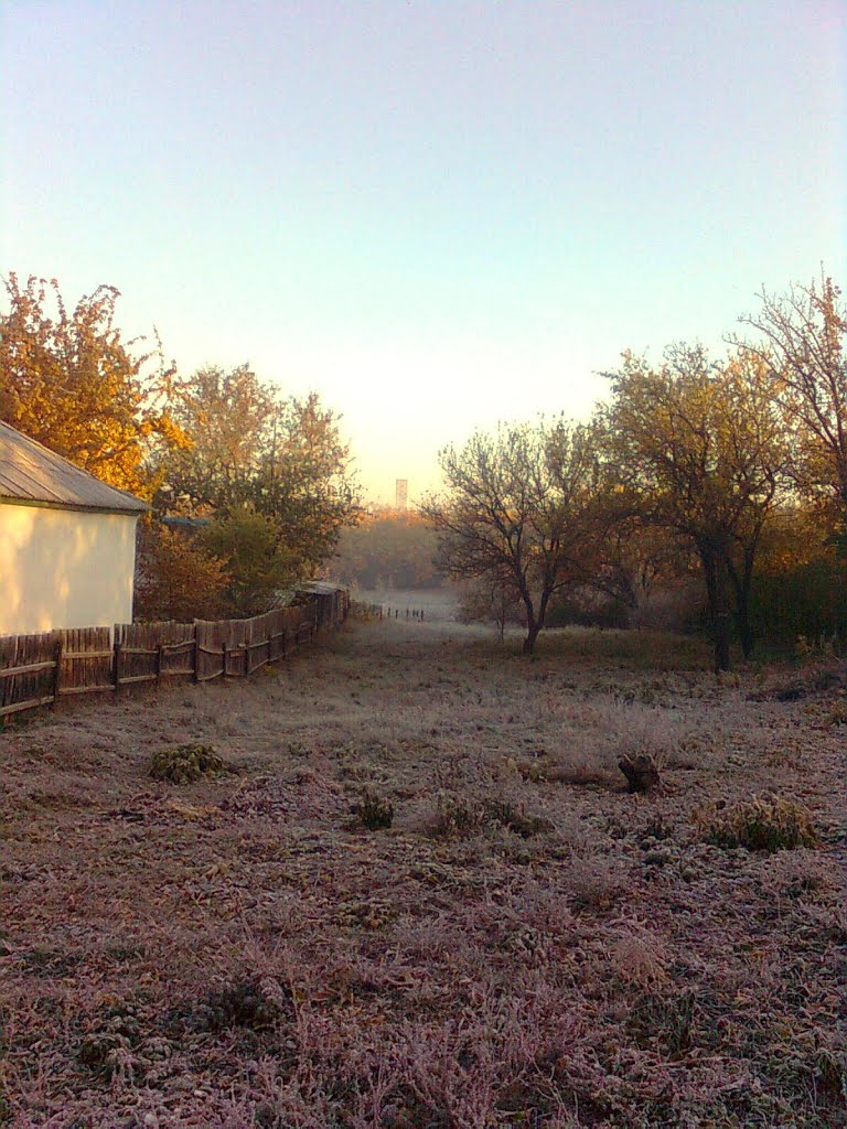 Осенние заморозки.Autumn frost