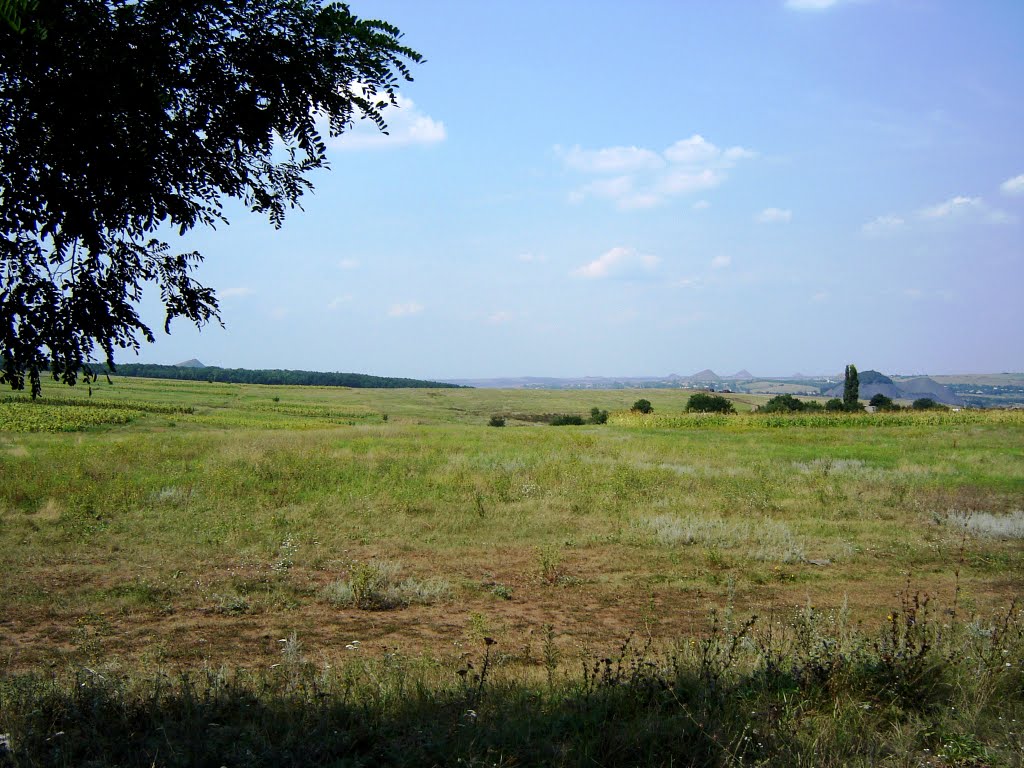 Шахтёрск