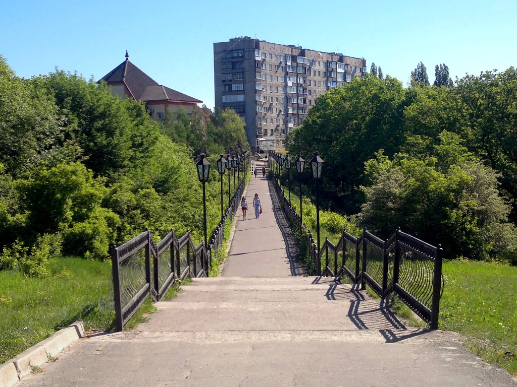Ясиноватая. Пешеходный мост.