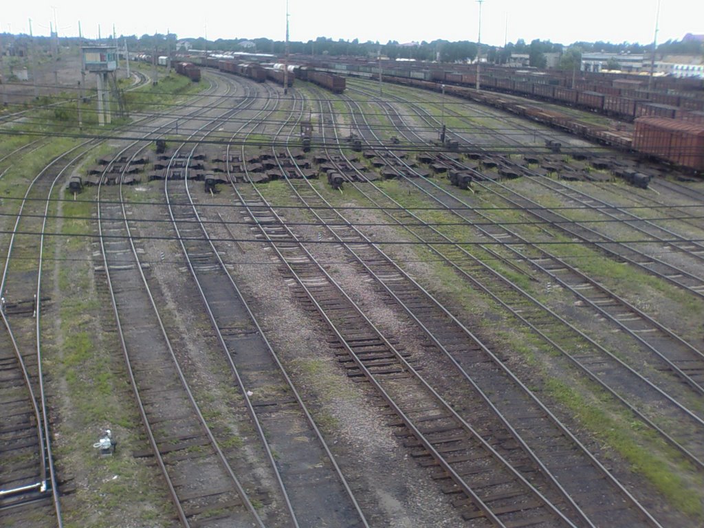Вид с моста