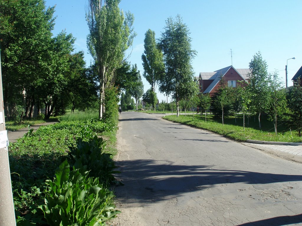 Dubrava