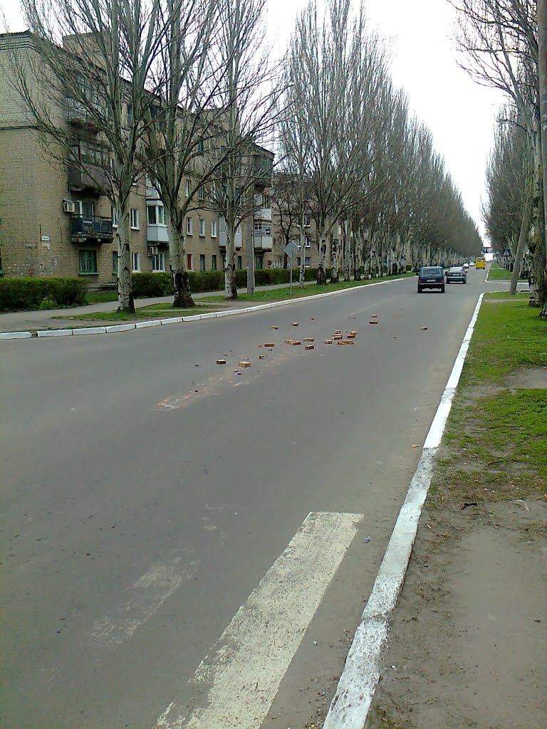 Центральная  дорога