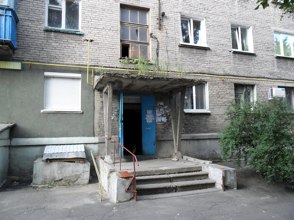 Трава на козырьке подьезда