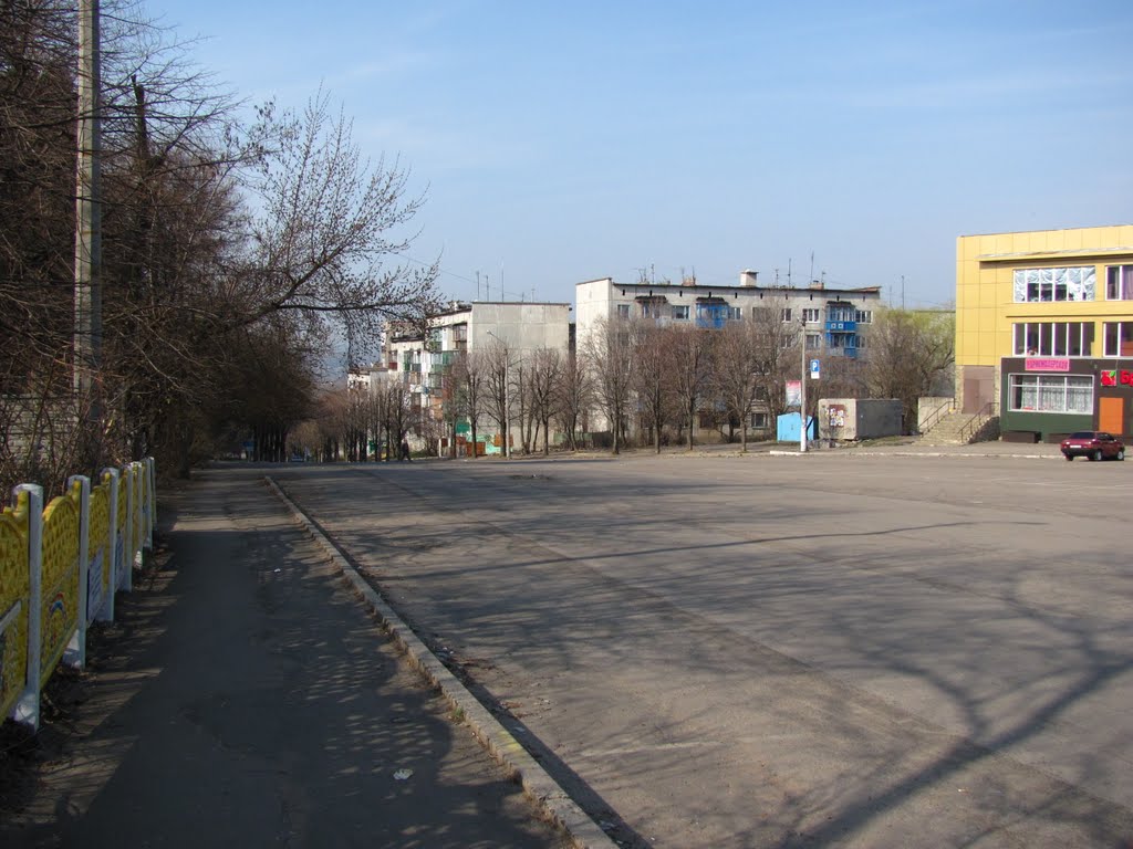 Улица Петровского.