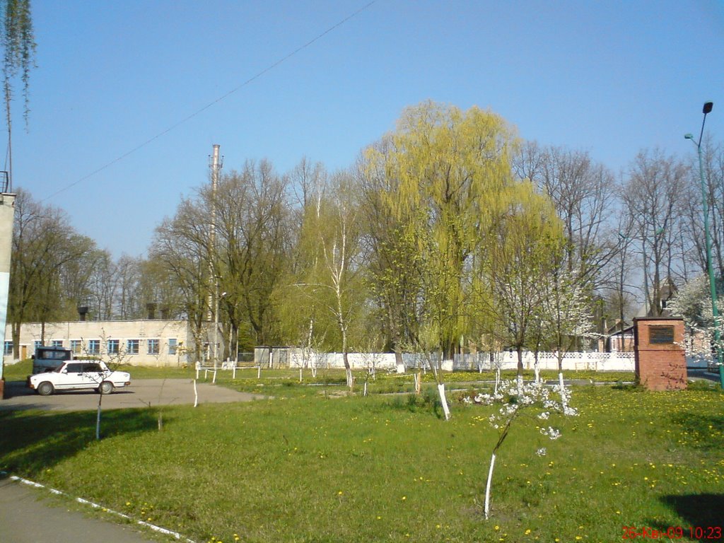Районна поліклініка. Двір