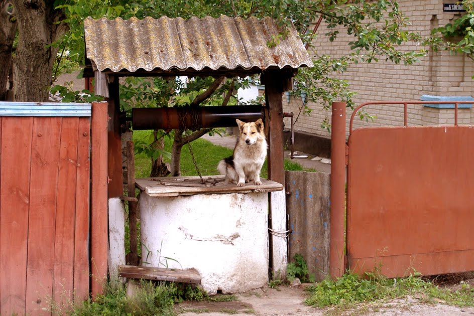 Охрана