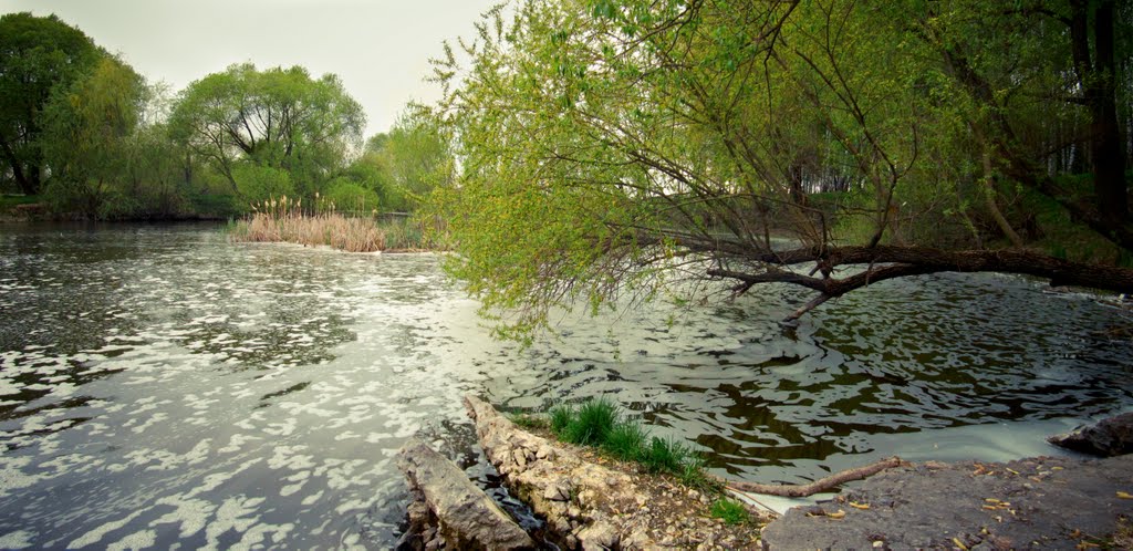 За Андрушівською греблею