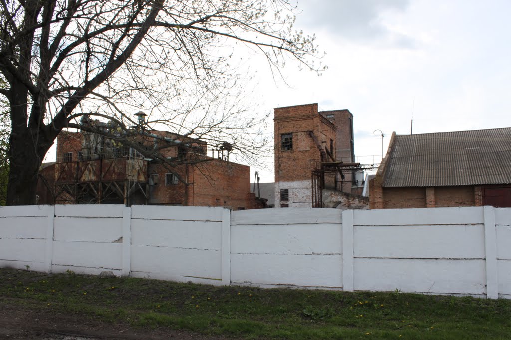 Загот. зерно (хлібопідприємство)