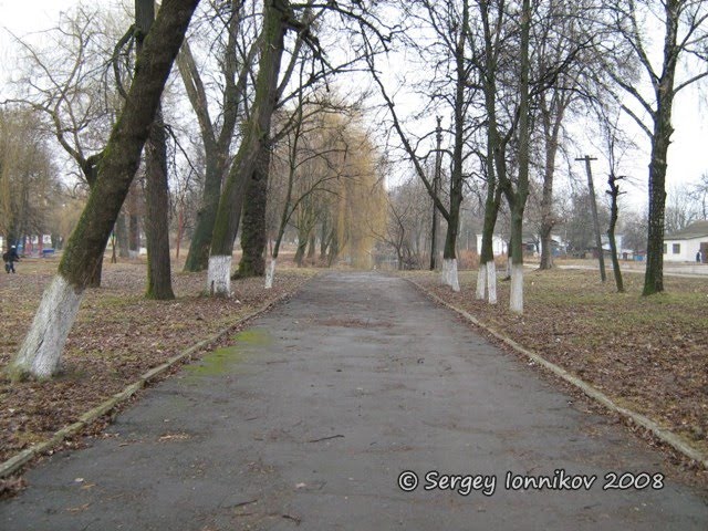 Андрушівка. Садиба Терещенко весна. Березень 2008